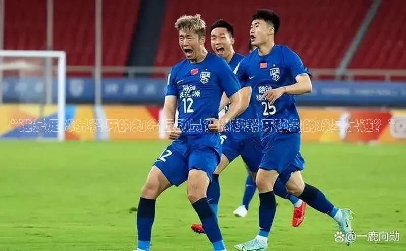 人人体育app直播下载阿里尔公司