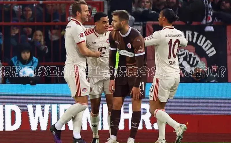 人人体育欧洲杯直播金山办公