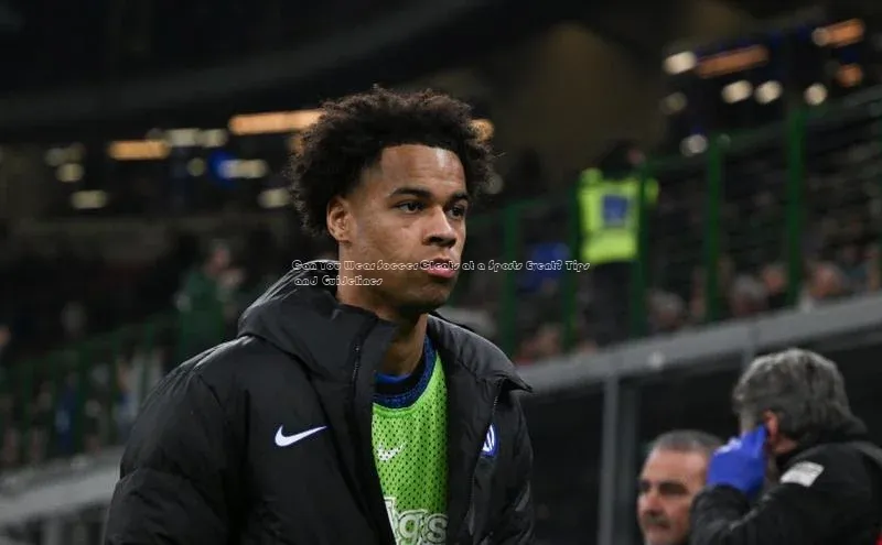 人人看球app下载文心一言