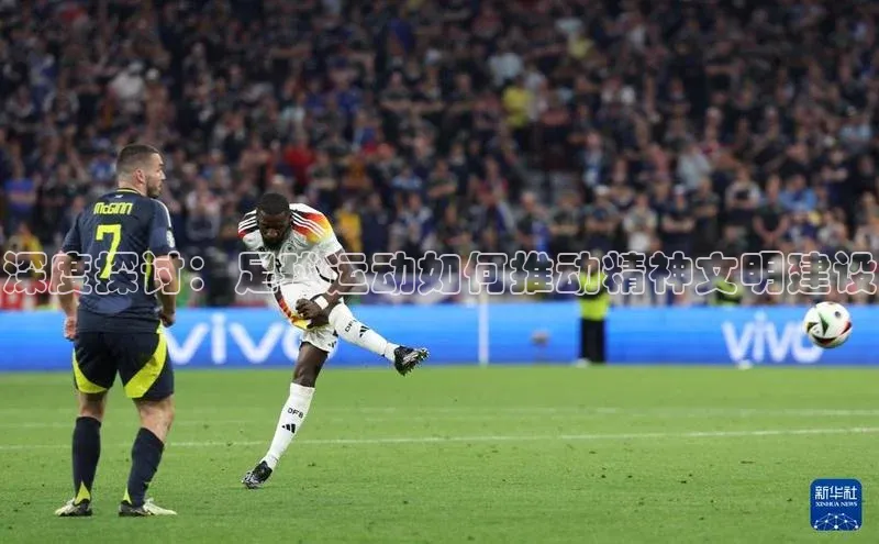 人人体育app官方版知乎