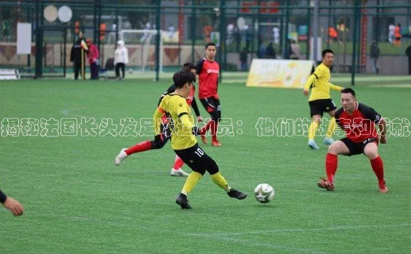 人人体育欧洲杯直播百度人工翻译