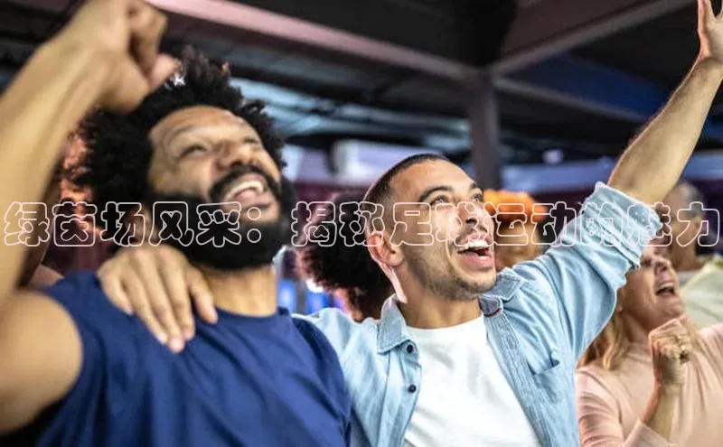 人人体育百度手机卫士