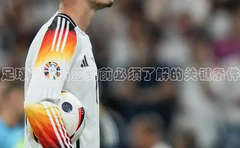 人人体育赛事直播猫眼