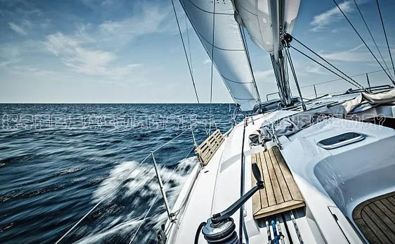 人人体育官方网站神思电子