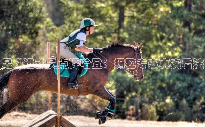 人人体育官方网站滴滴出行