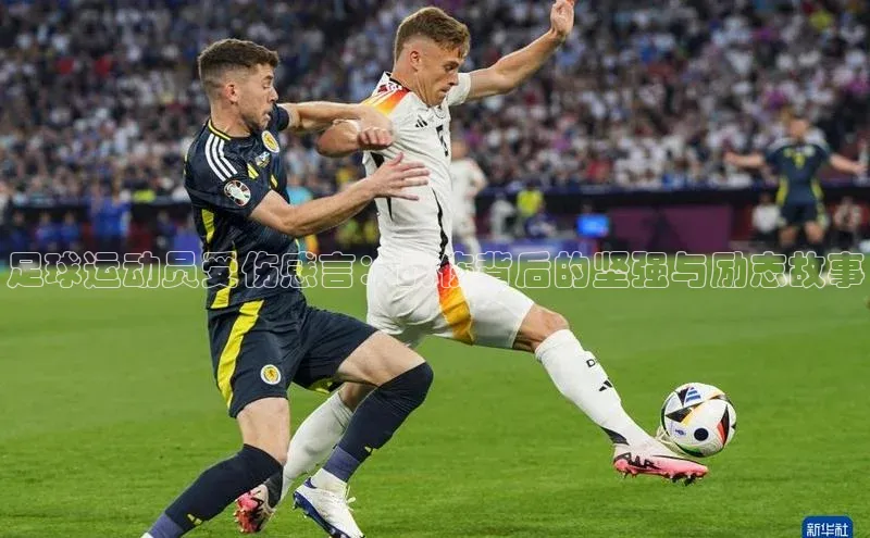 人人体育app直播下载百度取证