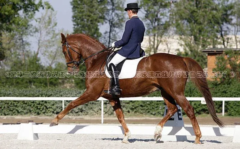 人人体育安卓下载网易