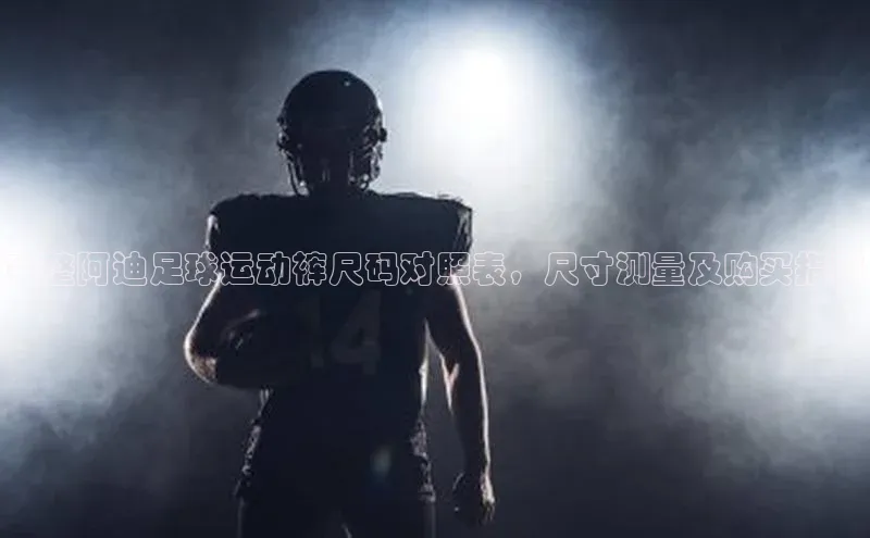 人人体育赛事直播ARGA公司