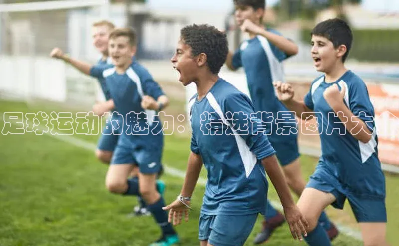 人人体育app直播下载宇信科技