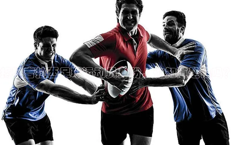 人人体育欧洲杯直播金山办公