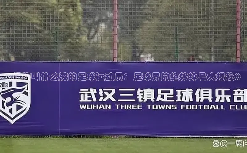 人人体育手机版百度营销中心