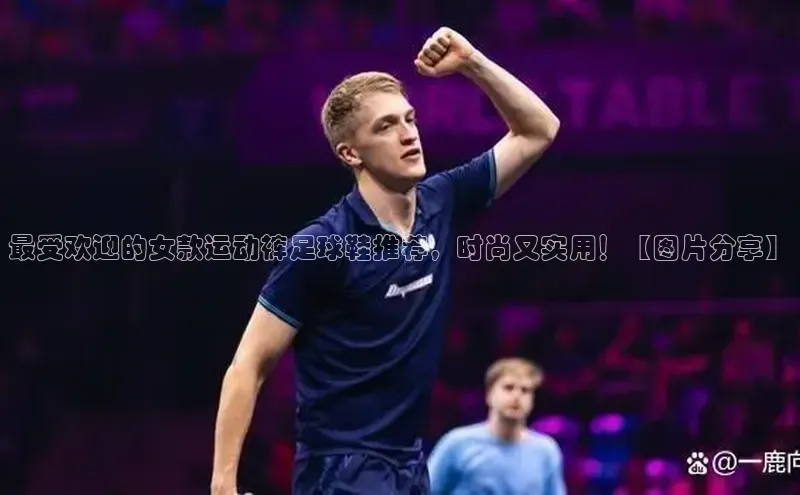 人人体育安卓下载网易