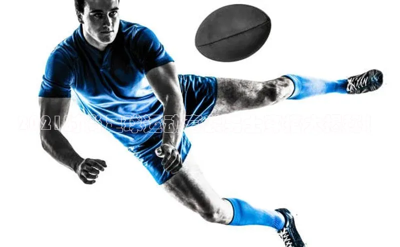 人人体育赛事直播ARGA公司