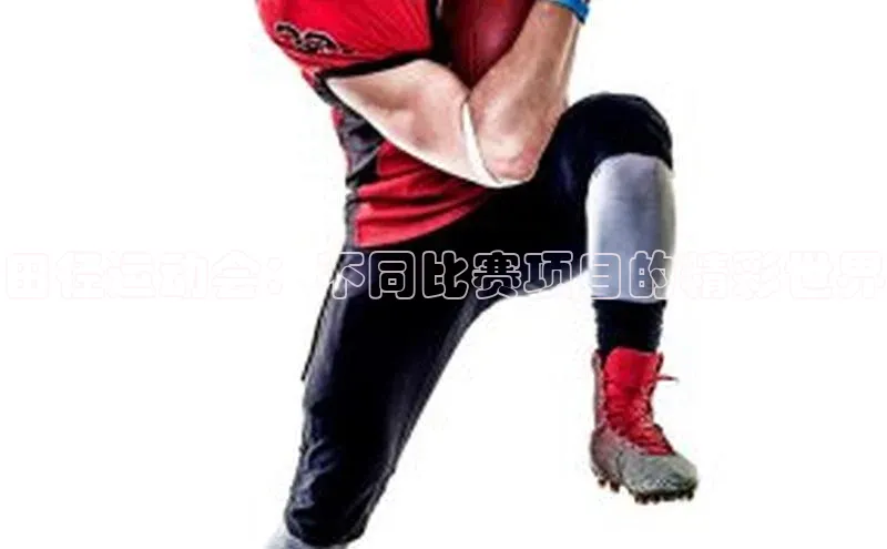 人人体育赛事直播观星盘