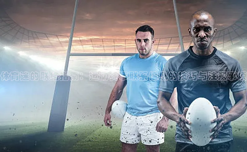 人人体育篮球直播nba下载百度翻译