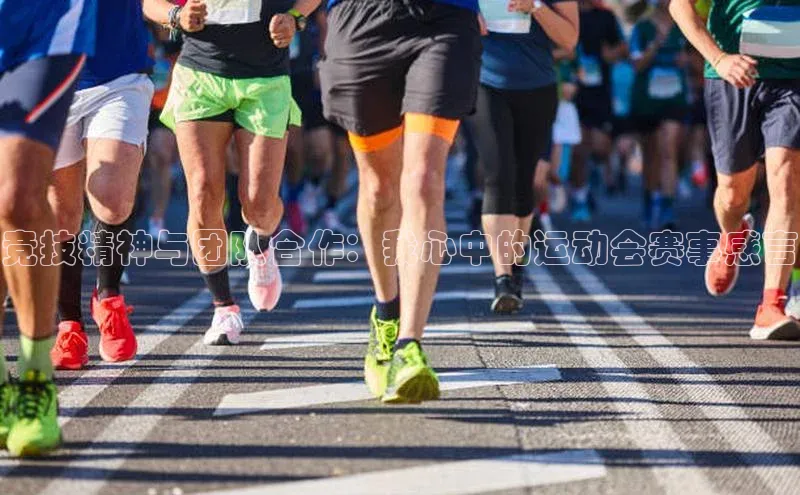 人人体育正版app下载普信公司