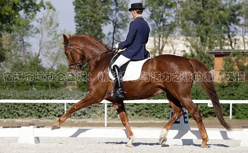 人人体育官方正版下载安装百度数据开放平台