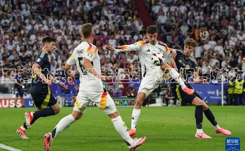 人人体育正版app下载