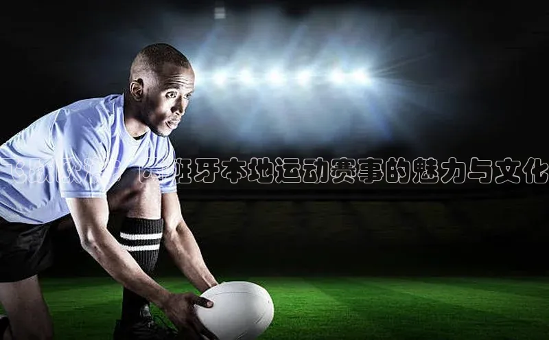 人人看球app下载