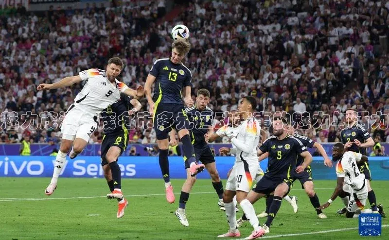 人人体育app官方版