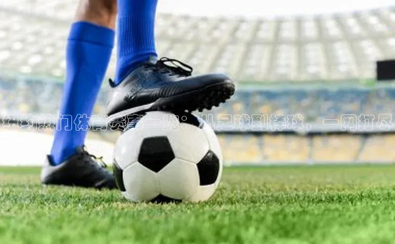 人人体育篮球直播nba下载