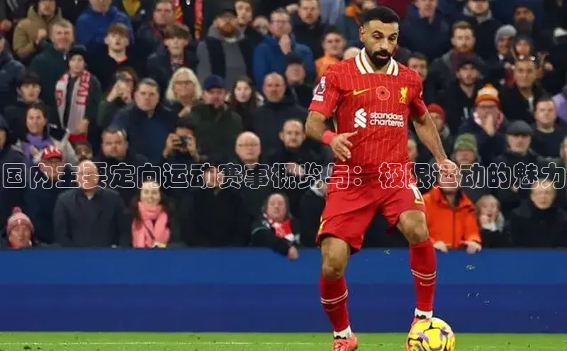 人人体育app下载安装