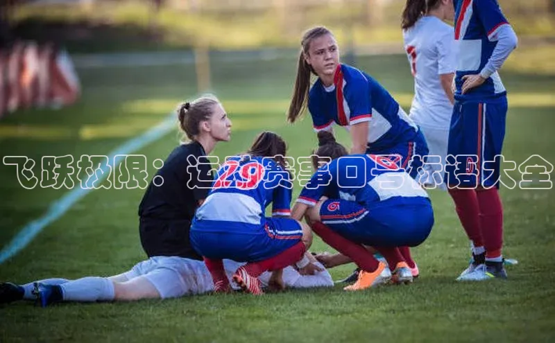 人人体育app安卓版