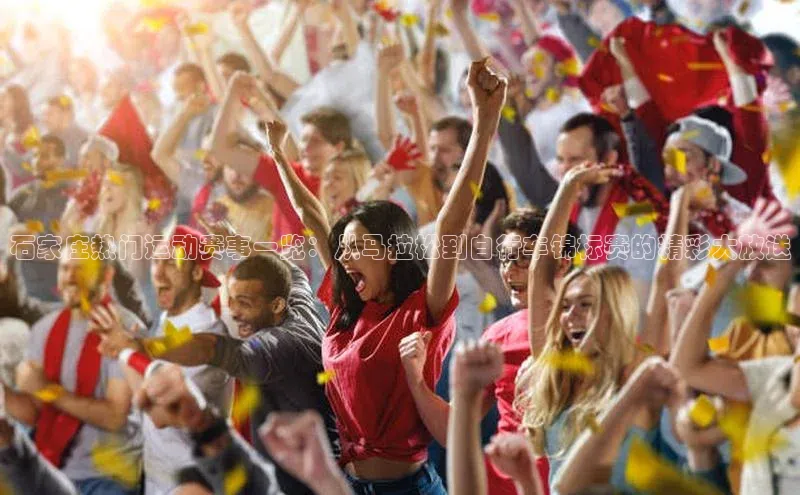 人人体育app官方版