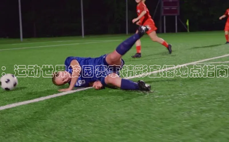 人人体育app安卓版