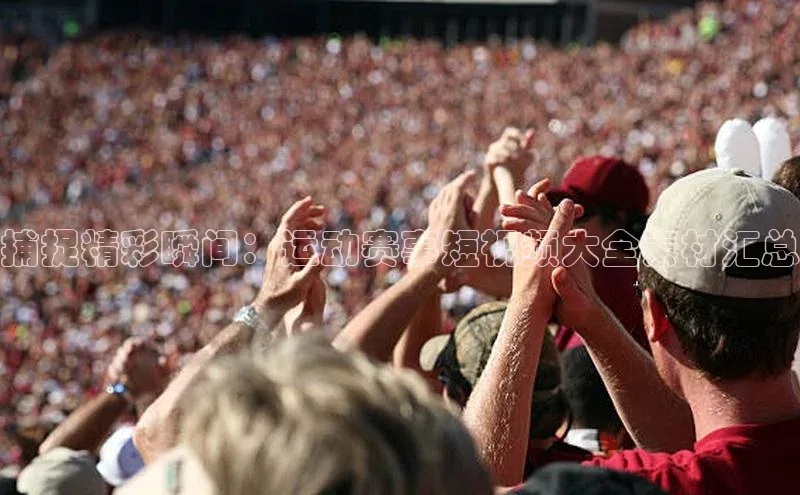 人人体育app直播下载