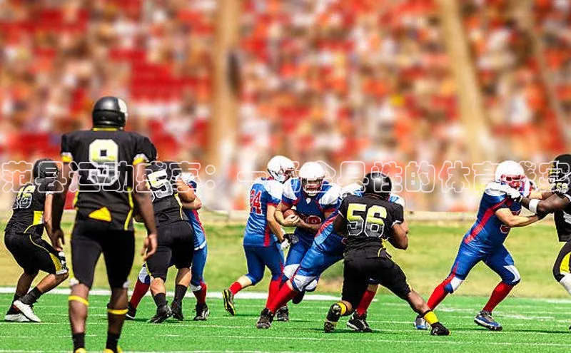 人人体育app下载安装