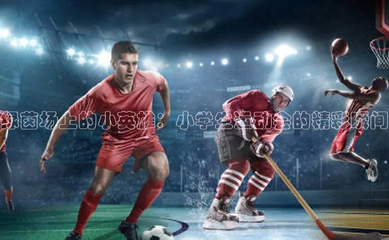 人人体育直播篮球