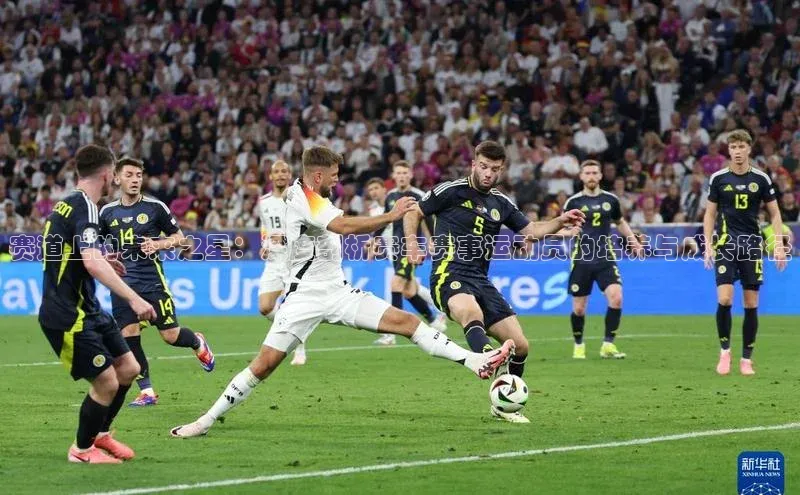 人人体育app官方版