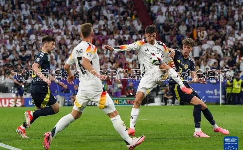 人人看球app下载