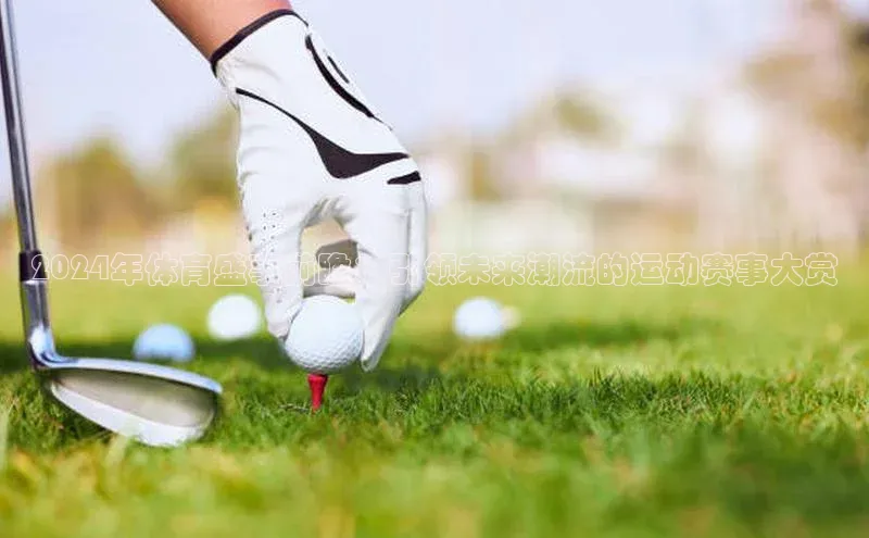 2024年体育盛事前瞻：引领未来潮流的运动赛事大赏