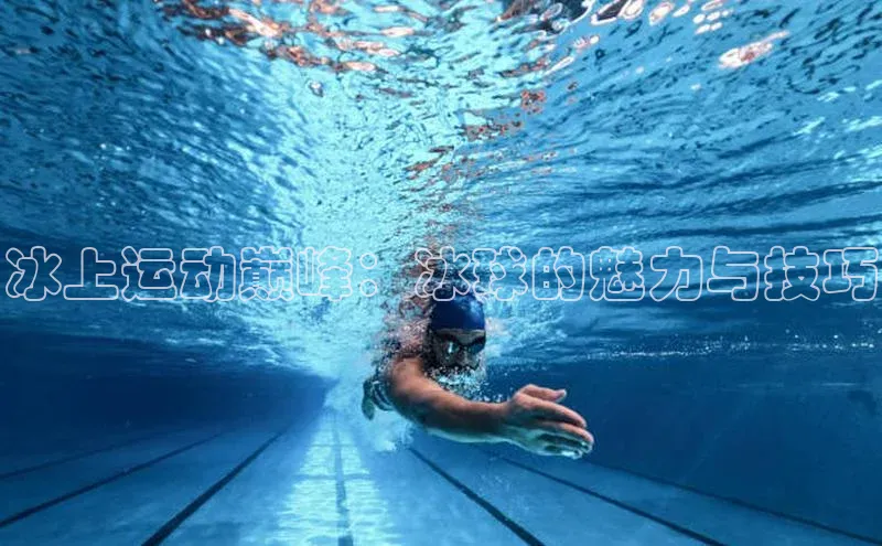 人人体育直播篮球